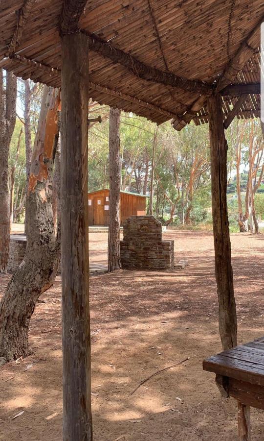Casa Vacanza "Fortuna" Balestrate Exterior foto